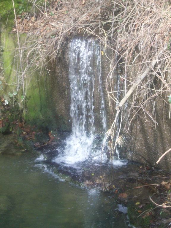Agriturismo Gelso Castellana Sicula Экстерьер фото