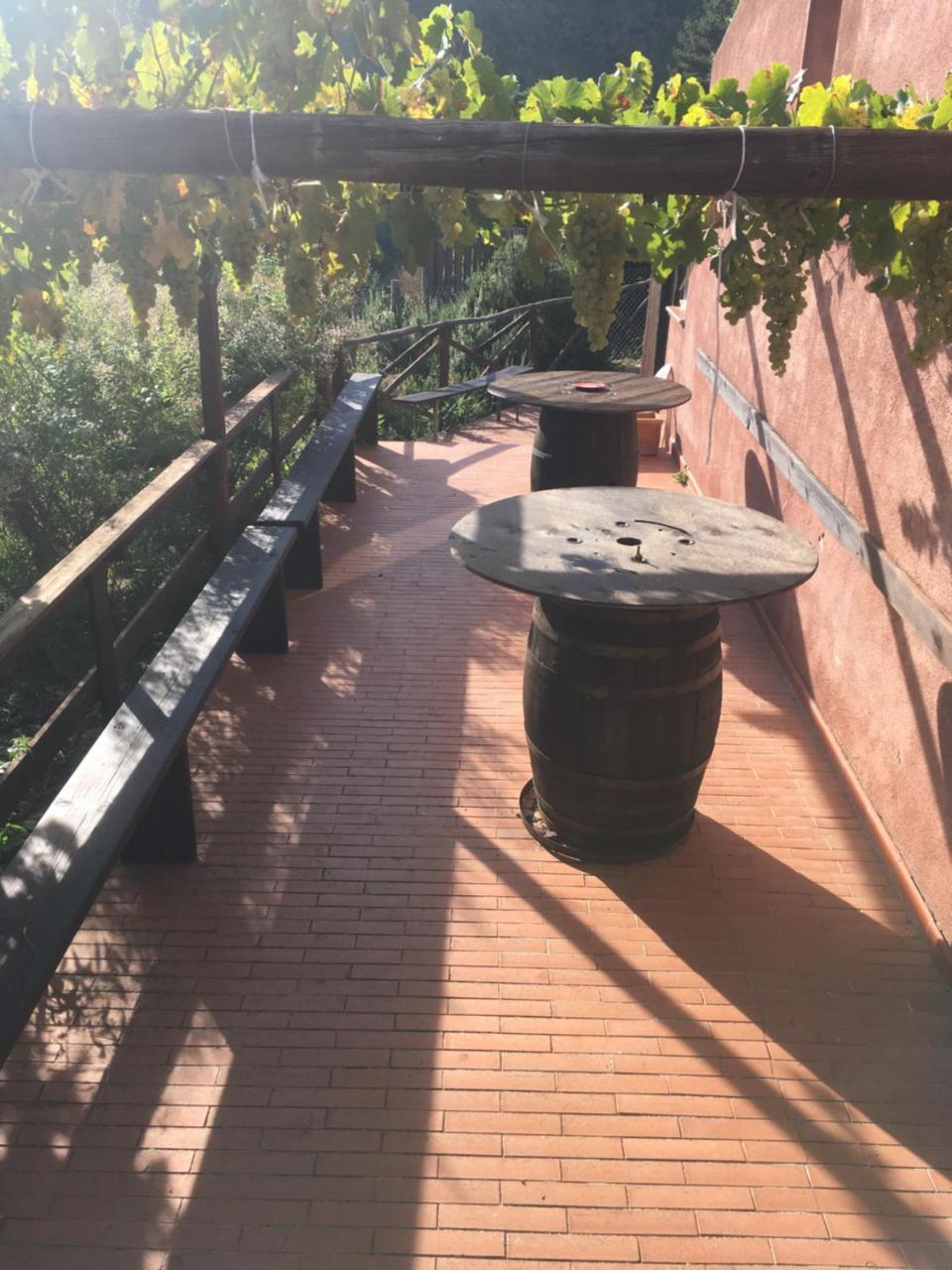 Agriturismo Gelso Castellana Sicula Экстерьер фото